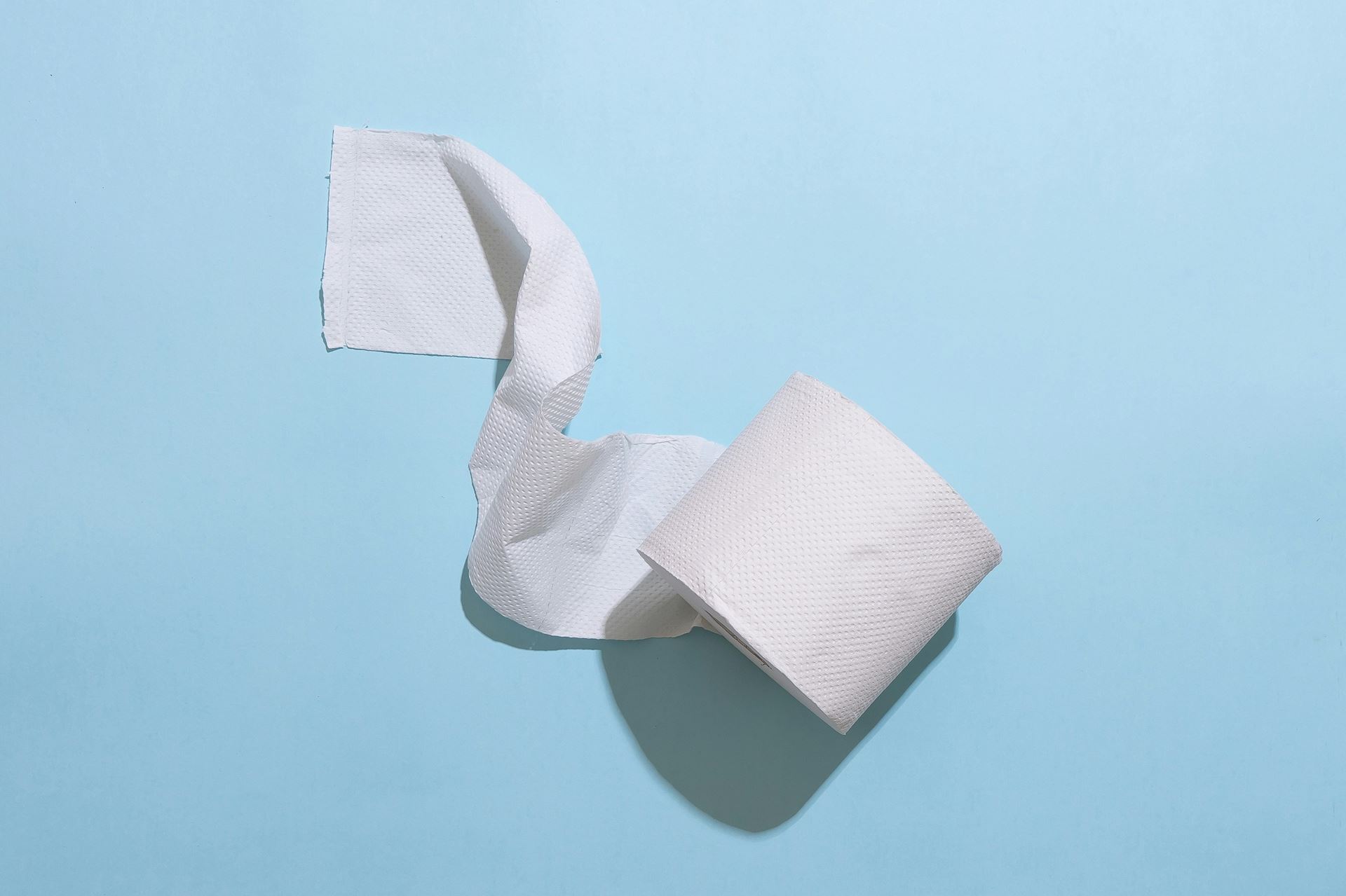 toilet roll